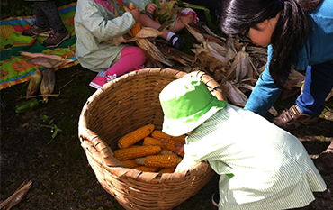 Creche